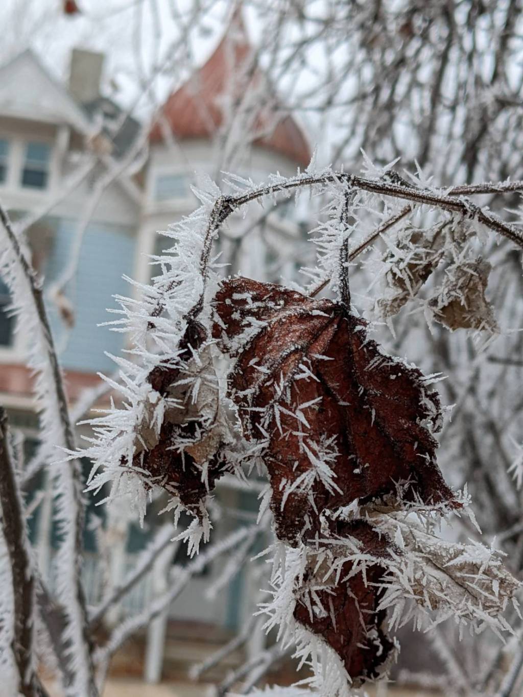 Horrormance?  It’s February and Love Gone Wrong&nbsp;Abounds